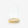 GLAZEN GLOBE MET HOUTEN VOET