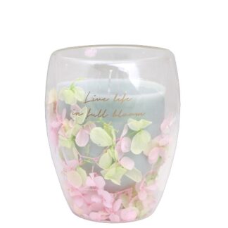 SOJAKAARS IN THEEGLAS - LIVE LIFE IN FULL BOOM