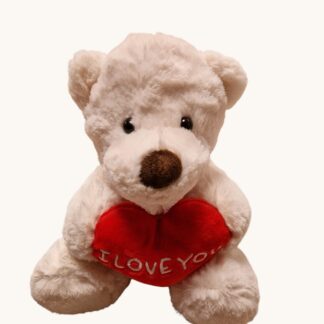 TEDDYBEER MET HARTJE WIT