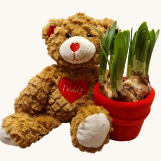 TEDDYBEER VALENTIJN