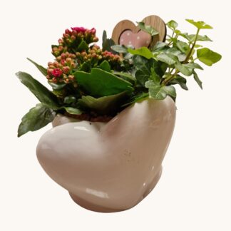 PLANTENCOUPE HART WIT